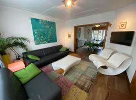 Beautiful house with character