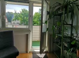 Large apartment with private entrance, balconies, sauna