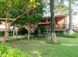 Forest Mud Villas