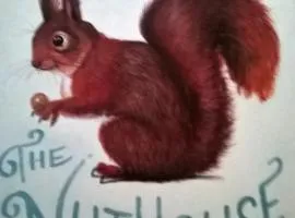 Lo scoiattolo- Altopiano Asiago-Gallio- Contrada Leghen