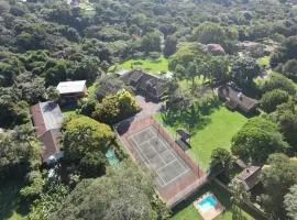 Birds of Paradise B&B