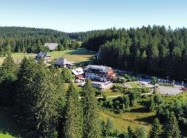 Der Kolmenhof - Dein Ort an der Quelle, ξενοδοχείο σε Furtwangen