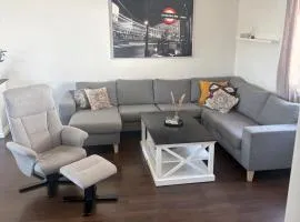 Close to the city center, large apartment in Ål