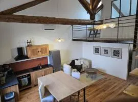 Aigues-Vives Appartement