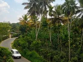 View Paddy Field Home Stay