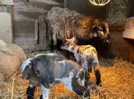 Auberge du Saut des Cuves