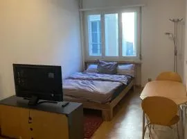 1 Flat-Room Bern