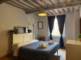 La Dolce Vista Appartamento Pisa Centro