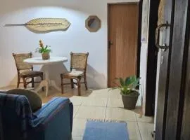 Casa Manga Rosa