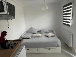 Studio attenant à la maison