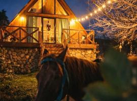 Tasia's Cottage, hotel em Tsalka