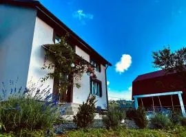 Modern house