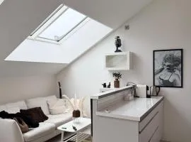 Penthouse Studio