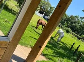 Chalés Haras São Francisco