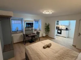 Seeglück II stilvolle Ferienwohnung für 2 Steinhuder Meer