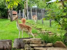Charming cottage in the Carpathian Mountains