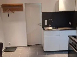 Renoviertes Appartement