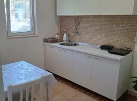 Studio apartment Sha