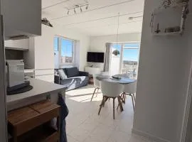 Modern Stylish Apartment Near City Centre with Parking