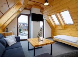 Golden Apartments - Family Mountain Apartment for 6 - Villa Taternik