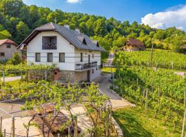 Vineyard Homestead Vrtin - Happy Rentals, Hotel in Dragatuš