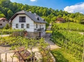 Vineyard Homestead Vrtin - Happy Rentals