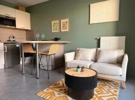 T2 avec Balcon et garage proche du Stade et LDLC Arena