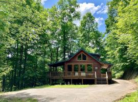 Wildcat Cabin - Pet Friendly Hot Tub Forest Stay โรงแรมในสแตนตัน