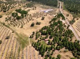 Herdade dos Calvinos, Monte 2 - Alandroal