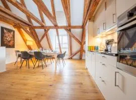 Spacious Apartment in Central Basel near Rhine - Special TOP LUX 42 Apartment, Basel, up to 6 guests