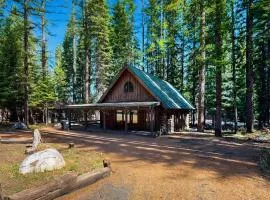 Forest Cabin
