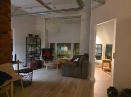 Business- and family Apartment Historical City centre