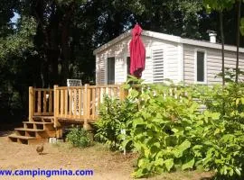 Mobil home avec terrasse - 2 personnes - API-1-52-276