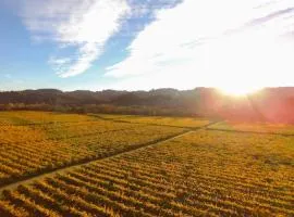 Santini Farmhouse With Tastings Included