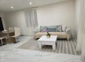 Jurassic cocoon Morbier