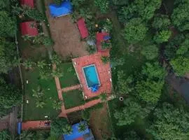 wild paradise jungle homestay