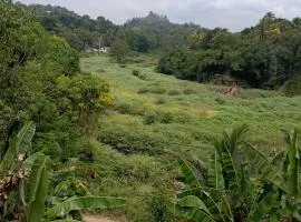 Padiwatte Residencies