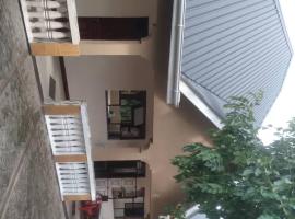 Amazon Travelers Guesthouse, hotell i Boma la Ngombe