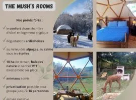 Mush's rooms