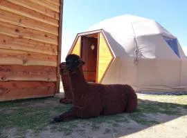 Mush's rooms