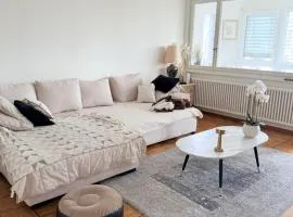 Luxury apartment en face du lac