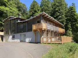 Appartement 4 chambres pieds aux pistes