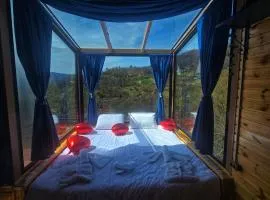 Hill House Merisi