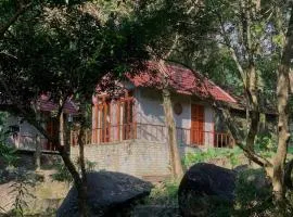 Toom Sara Forest Stay - Danang