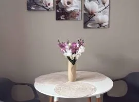 Apartmány Rosijo