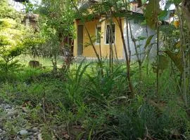 Temple chital homestay, safari and yoga