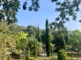 Casa do Cerrado-Country House