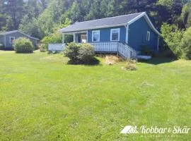 Cozy cottage 200m from the sea in Svanesund - SE09183