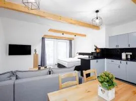 Golden Apartments - Villa Taternik - Mountain View