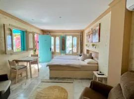 Dog-Friendly Studio with partial seaviews in Maro